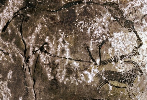 salon noir, niaux cave - magdalenian - bison, ibex
